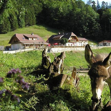 Ferienwohnung Hochsteinalm เทราน์เคอร์เคน ภายนอก รูปภาพ