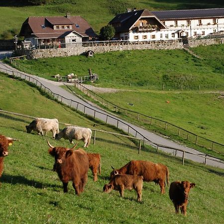Ferienwohnung Hochsteinalm เทราน์เคอร์เคน ภายนอก รูปภาพ