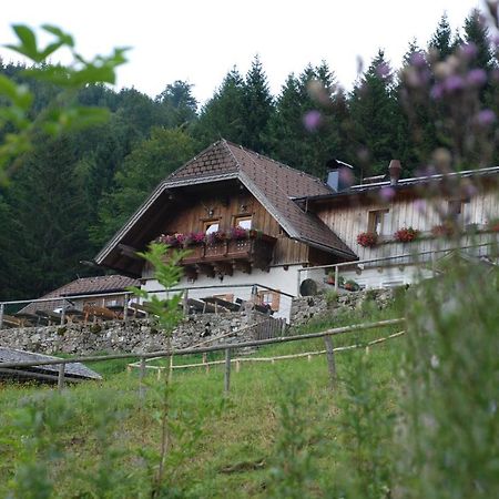 Ferienwohnung Hochsteinalm เทราน์เคอร์เคน ภายนอก รูปภาพ