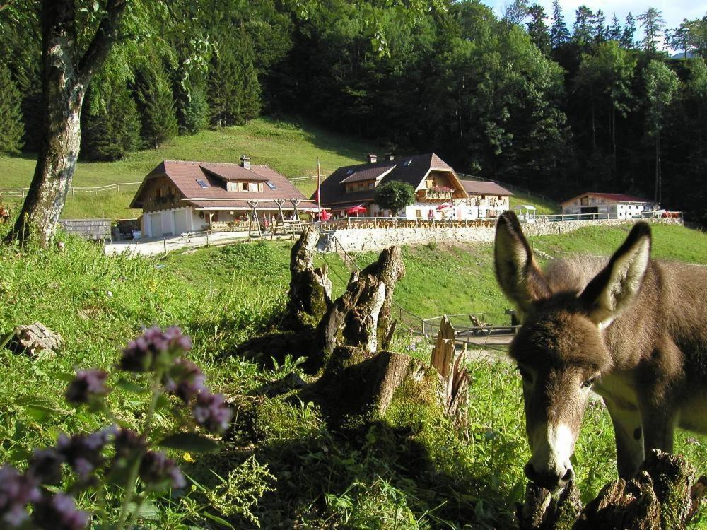 Ferienwohnung Hochsteinalm เทราน์เคอร์เคน ภายนอก รูปภาพ