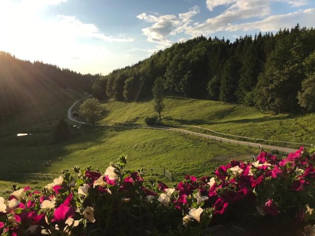 Ferienwohnung Hochsteinalm เทราน์เคอร์เคน ภายนอก รูปภาพ
