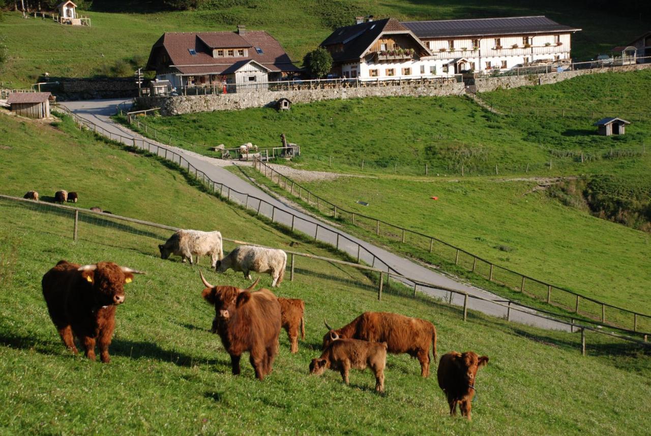 Ferienwohnung Hochsteinalm เทราน์เคอร์เคน ภายนอก รูปภาพ