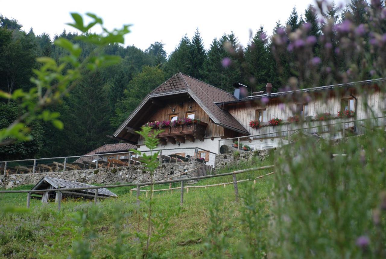 Ferienwohnung Hochsteinalm เทราน์เคอร์เคน ภายนอก รูปภาพ